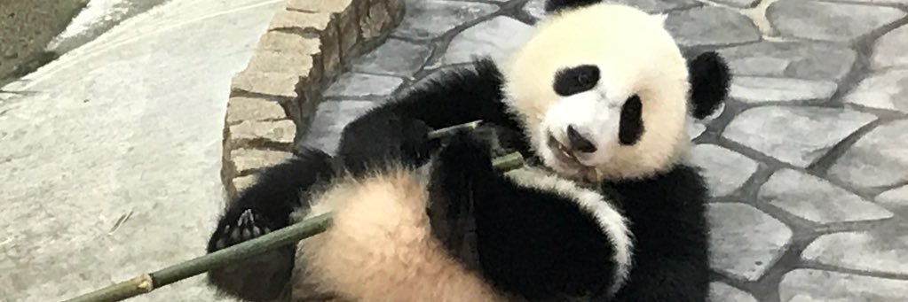 wat_aro's profile banner image