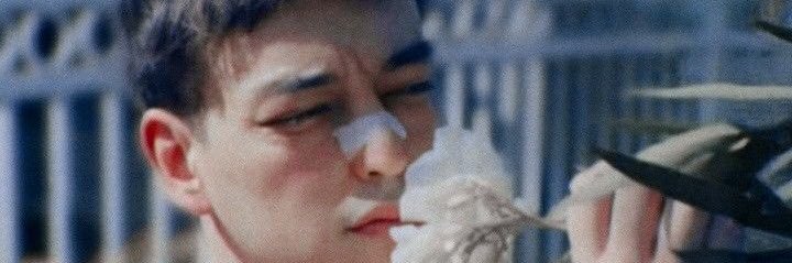 cecilfransisca_'s profile banner image