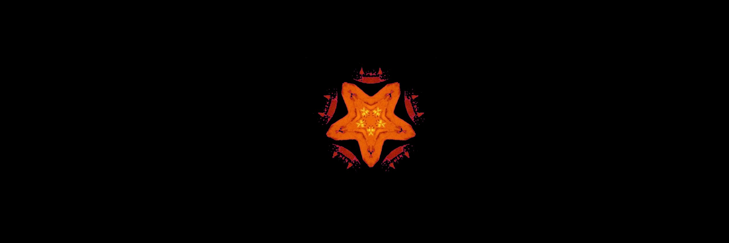 ziin_o's profile banner image