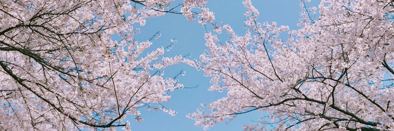nandaaii's profile banner image