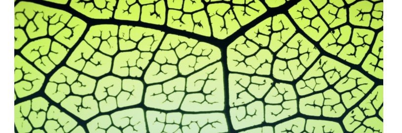 ConnectCharity banner