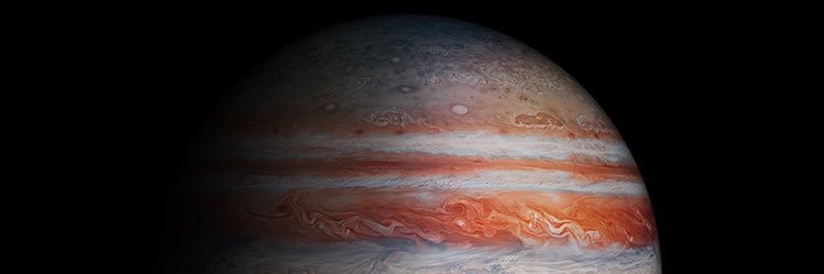 чайка ✙ banner