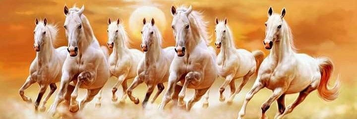 palak75's profile banner image