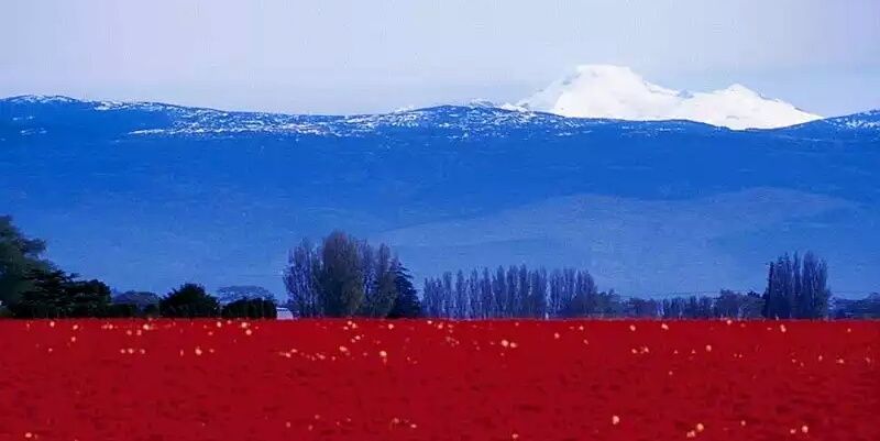 kirill0906's profile banner image