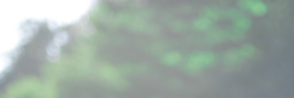 dish_aaa's profile banner image