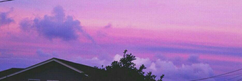 giardynn's profile banner image