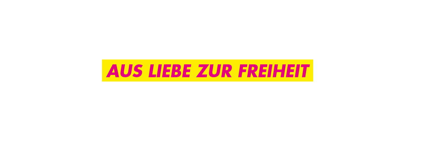FDP Mecklenburg-Vorpommern banner