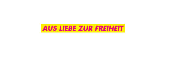 FDP Mecklenburg-Vorpommern Profile Banner