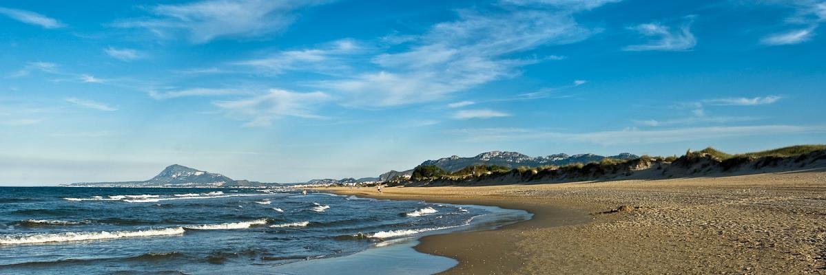 Salva Mengual banner