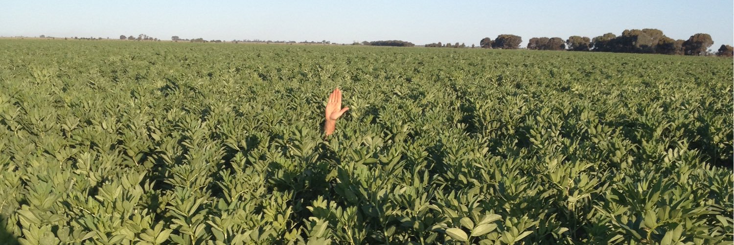 Michael Chalmers banner