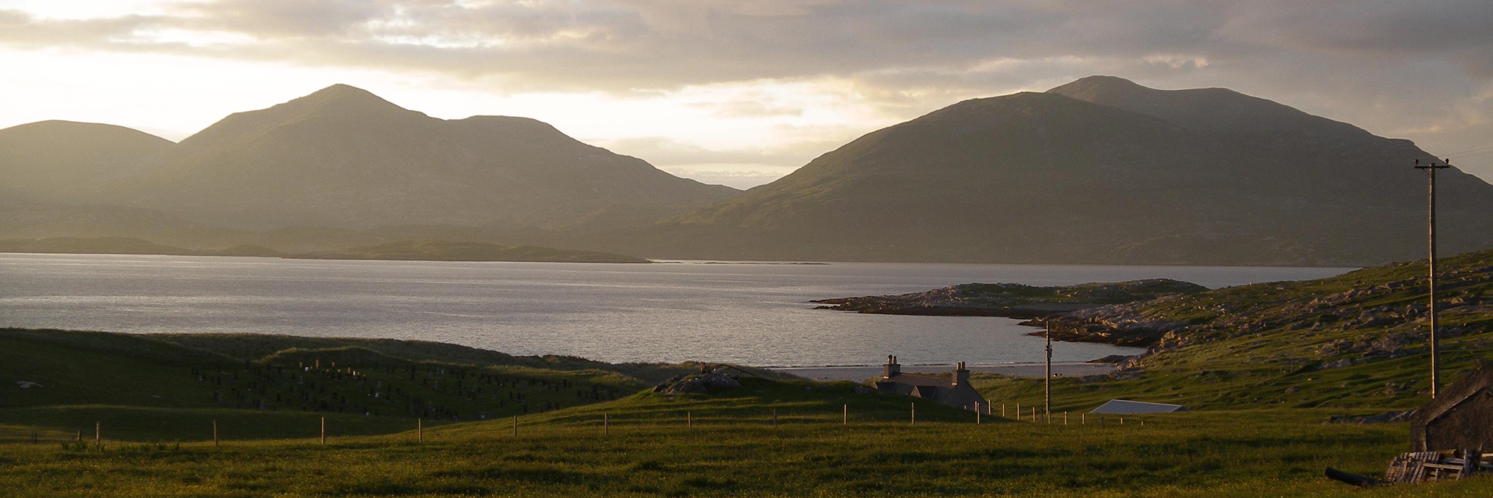 Adam Dabrowski banner