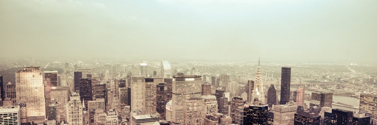anneleoja's profile banner image