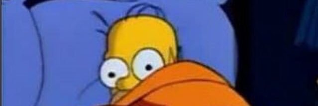 homer simpson banner