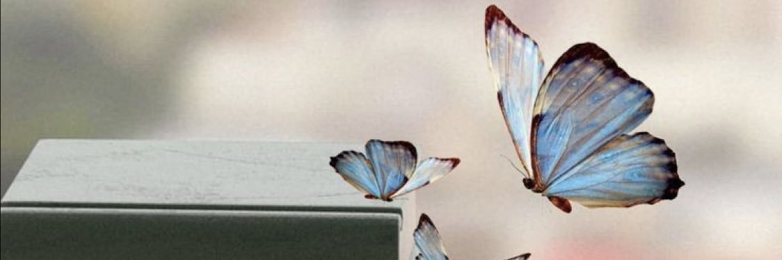 nadaat33's profile banner image