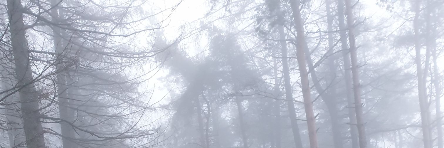 jill_boland's profile banner image