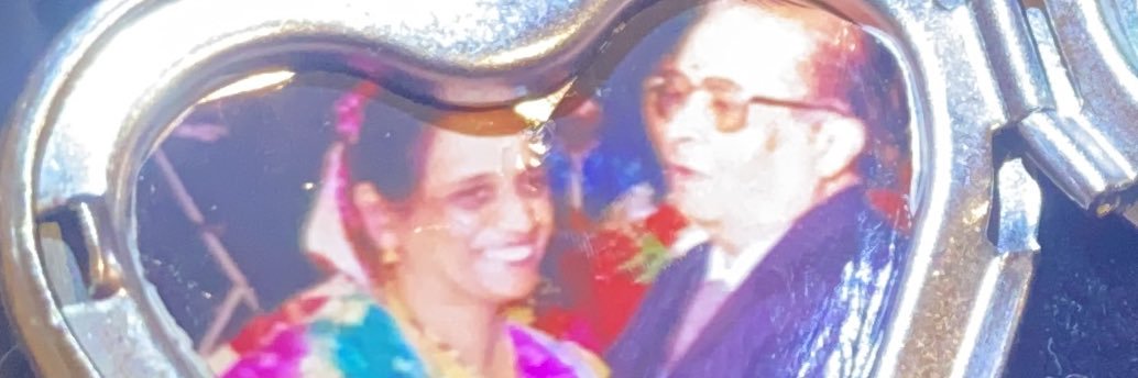 MeeraPopat's profile banner image