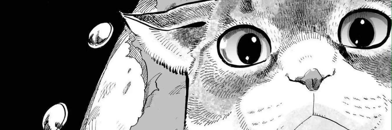 parmejean's profile banner image