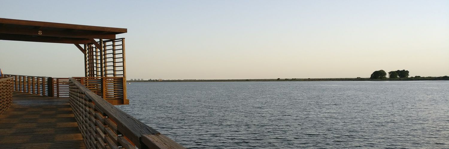 mbernalramirez's profile banner image