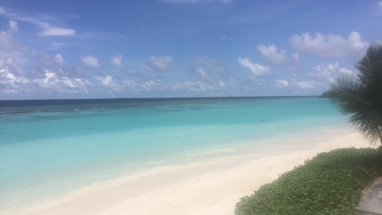 Matt Wilkinson banner