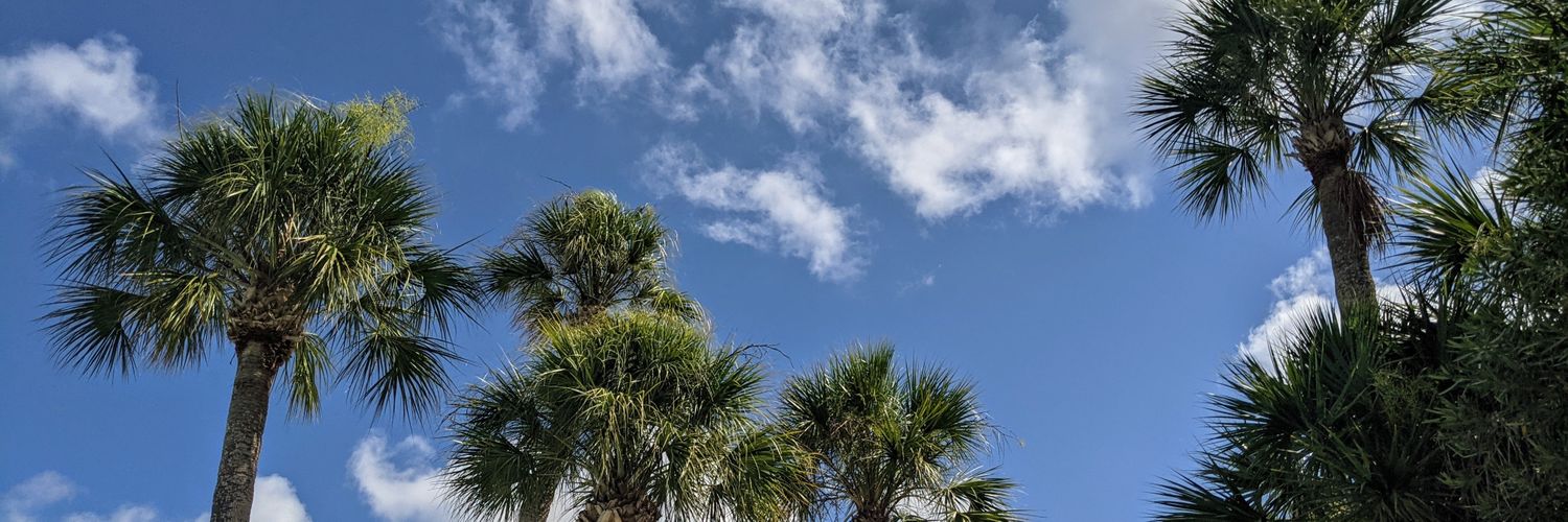 budz625's profile banner image