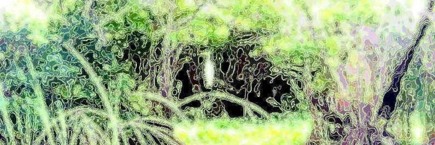 ║ ⊙︿⊙™║ 🐸 🐸 banner
