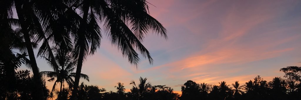 Thomas Carter banner