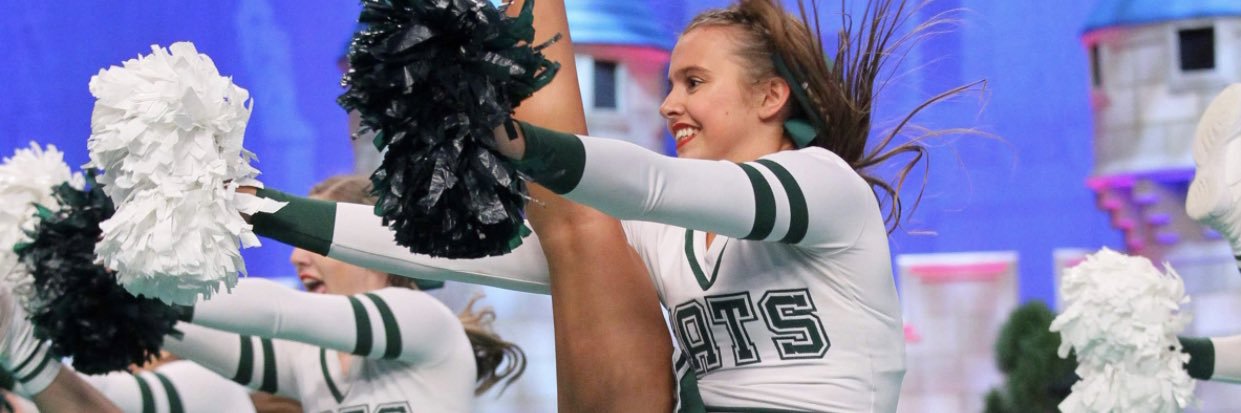 FossilCheer's profile banner image