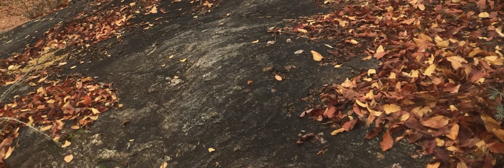DAVIDOYAMO's profile banner image
