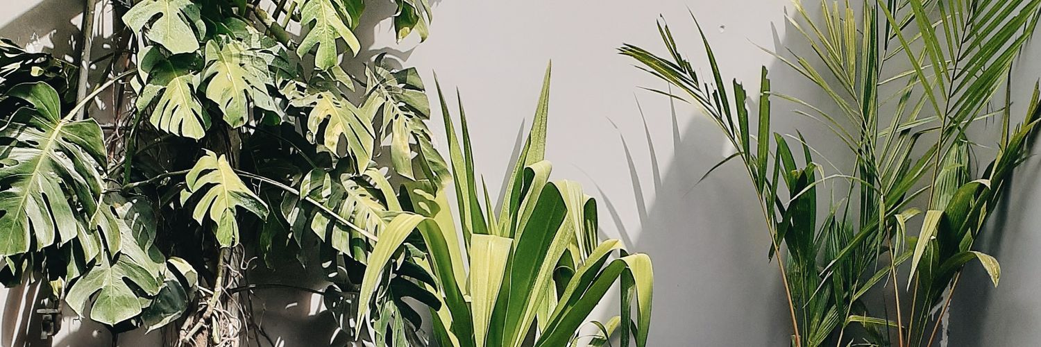 eritrossit's profile banner image
