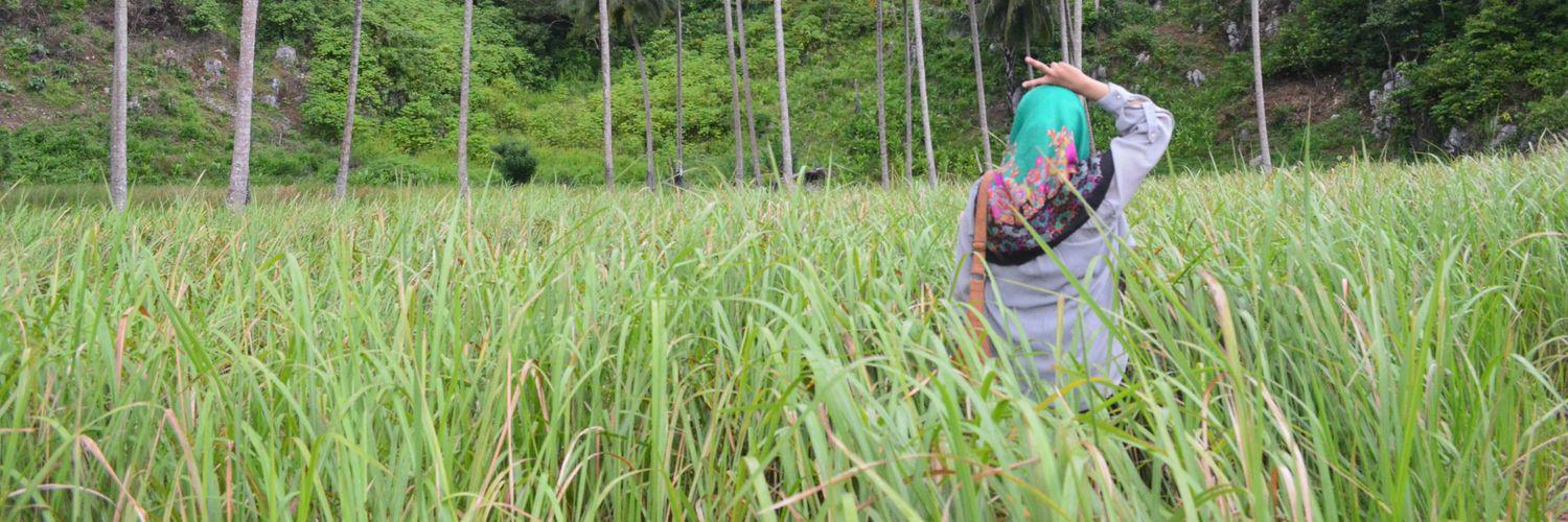 SaimaPutri_HRP's profile banner image
