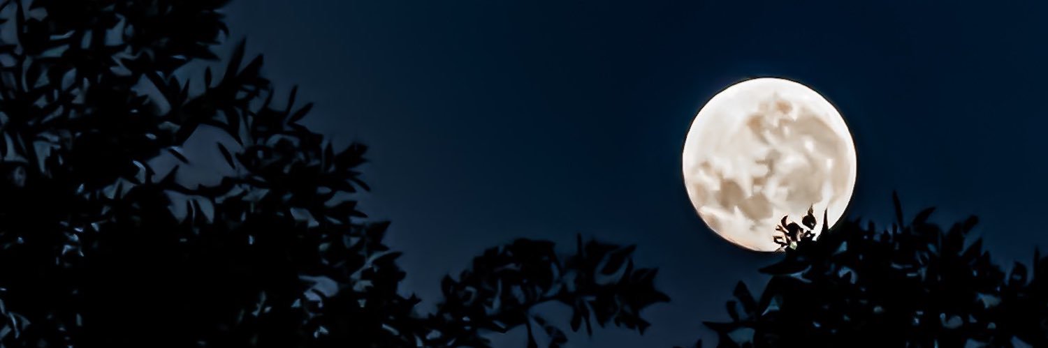 Jonkerwow's profile banner image