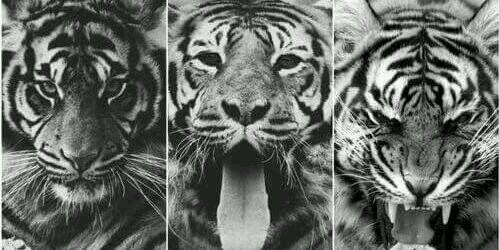 jaredramirez11's profile banner image