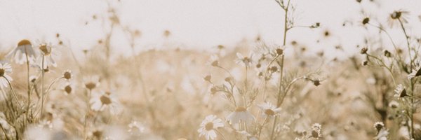 megankp85 Profile Banner