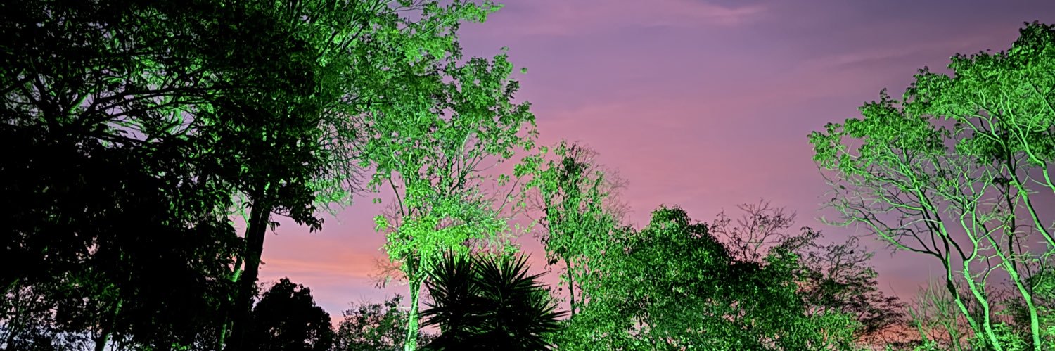 amaispa's profile banner image