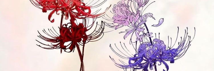 andrejoshhhh's profile banner image