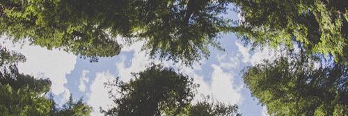 MollyWeasley_ll's profile banner image
