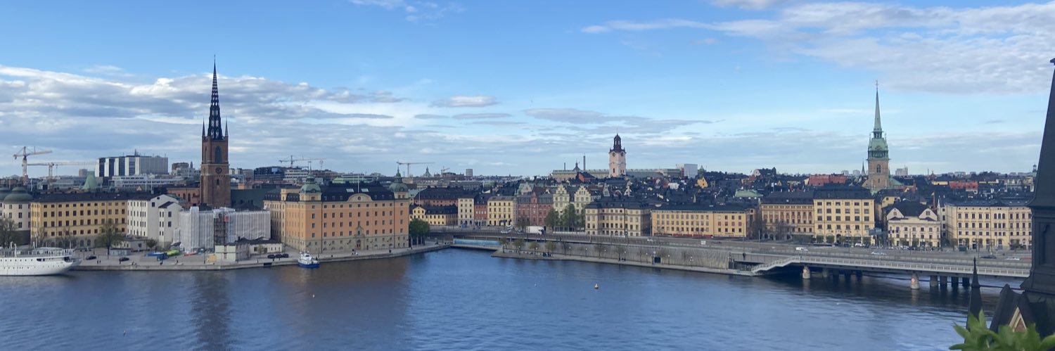 LorenzoSolinas's profile banner image