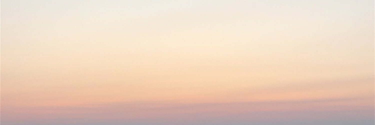 Maria Cosin banner