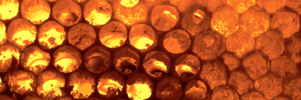 OU_eSTEeM Profile Banner