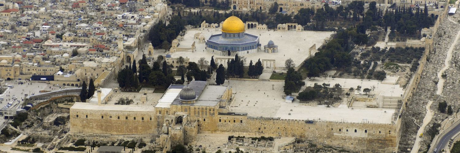 محمد أحمد الجميلي banner