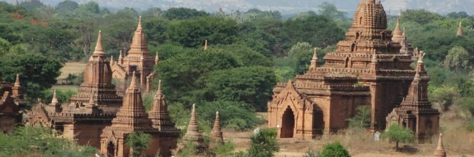 Alejandra Uribe banner