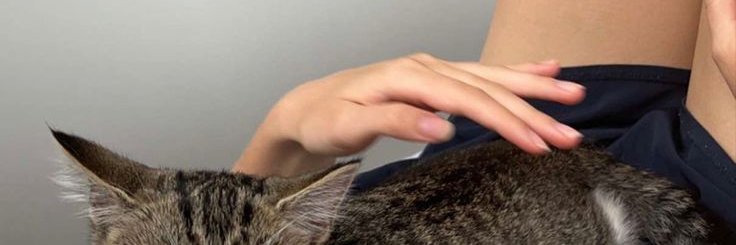 ruebriiado's profile banner image
