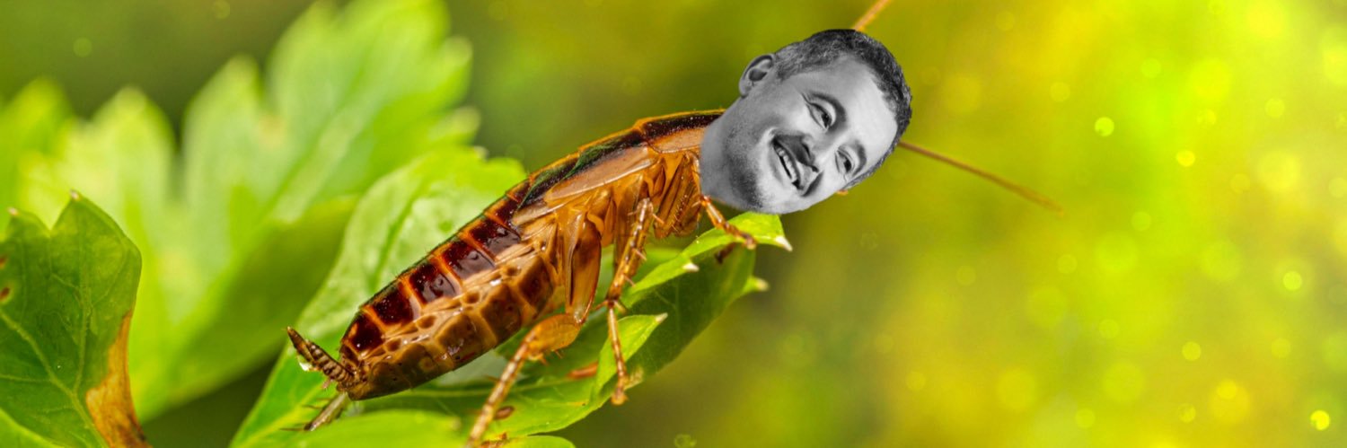gouvfr's profile banner image