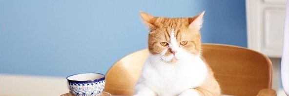 安藤 聡(療養中ではござる) banner