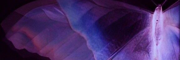 __EternalSoul__'s profile banner image