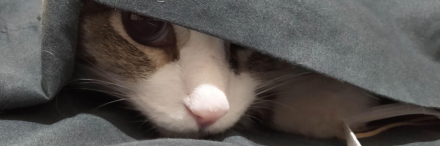 SukyPatt's profile banner image
