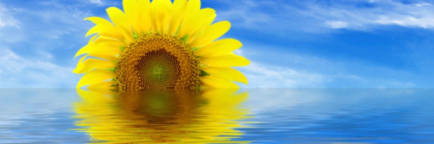 KDADSOfficial banner