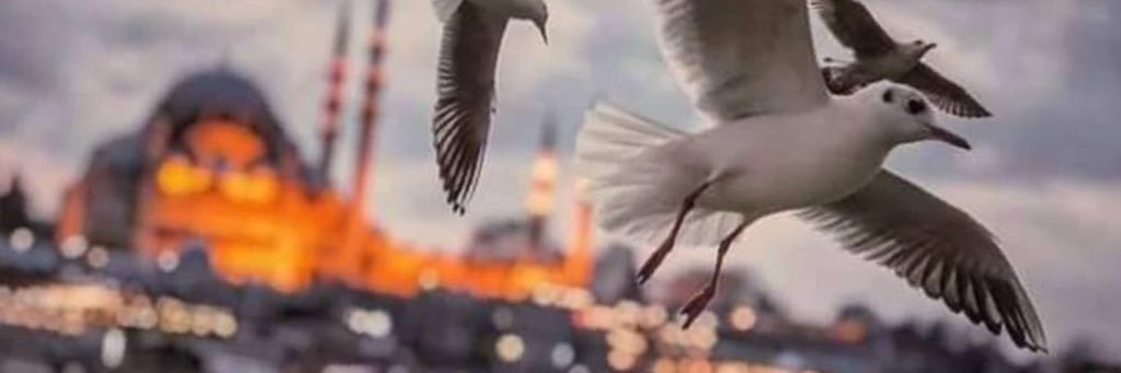marawe_77's profile banner image