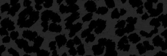 roosueboo's profile banner image
