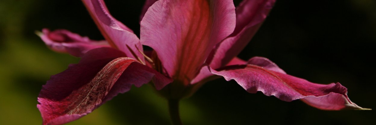 housenextdoor's profile banner image